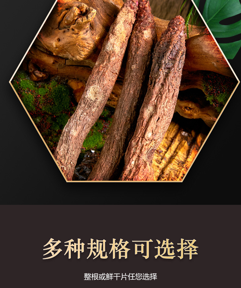 Dried Cynomorium Songaricum Whole Roots Suo Yang 500g Warming Herbal Tonic for Tea and Soup quality and texture