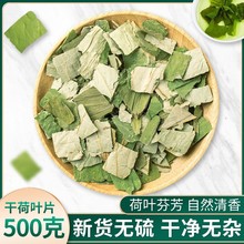 新鲜荷叶片500g干荷叶片茶中药材野生天然荷叶片配冬瓜荷叶茶泡水