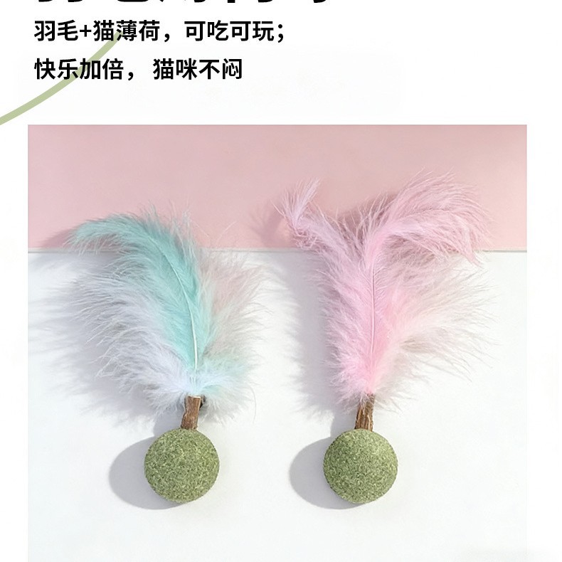 Pluma Bola de menta de gato Juguete de bola de menta Menta de gato
