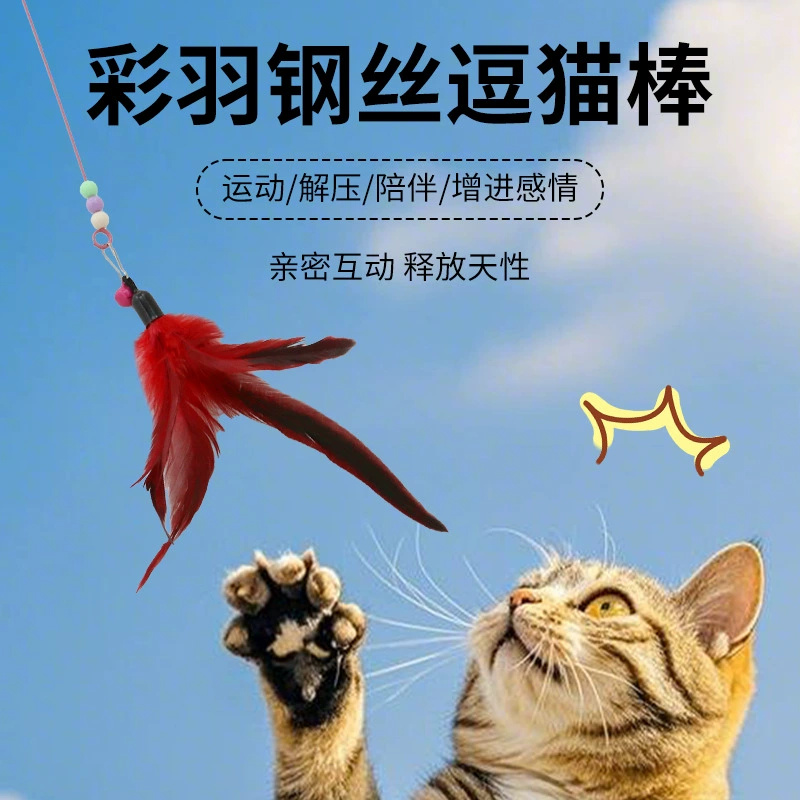 Стальная проволока цветное перо дразнит кошачью палочку кошачью игрушку колокольчик удлиненный эластичный корм для домашних животных кошачий кот истощает энергию от привет