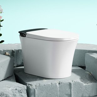 �¿������RͰ�ӟ���ϴ��Ƀ�������һ�wʽ���wȫ�ԄӺ���������