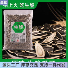 500۴ԭζӿꖻbe׷ʳ؛