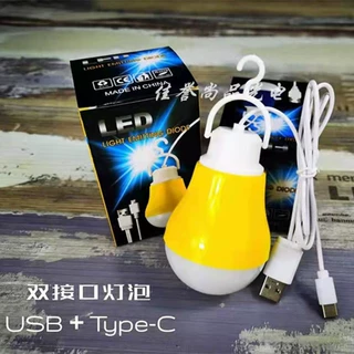 usb球泡小夜灯 usb+TypeC二合一双接口OTG灯泡   /跨境外贸产品