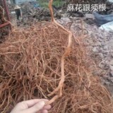 Натуральный корневой ветвь рододендрон, аквариумный лесной лесной танкет