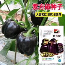 ��ɫ�������𽷷N������������N�ӟ��\�������ļ�����������