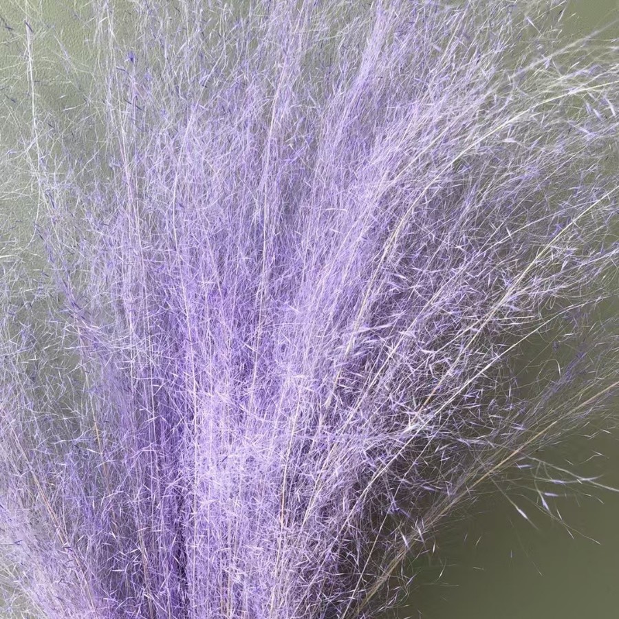 라이트 퍼플 100개