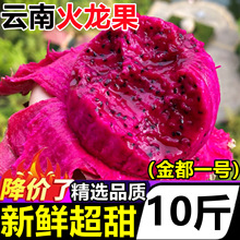 云南火龙果红心新鲜10斤整箱蜜金都一号宝红心火龙果新鲜当季水果