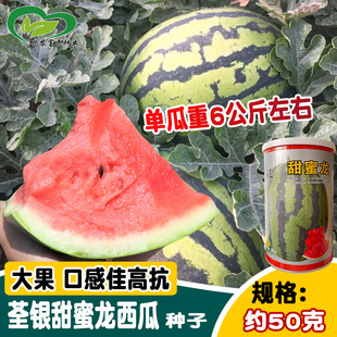 ���y���������ϷN�� ���ز��������ϷN�� �߿����A�\������ˮ����