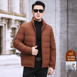 2025�ߙn��ʽ��ʿ�Z�q��q�����I�p����̿������ﶬ����q������