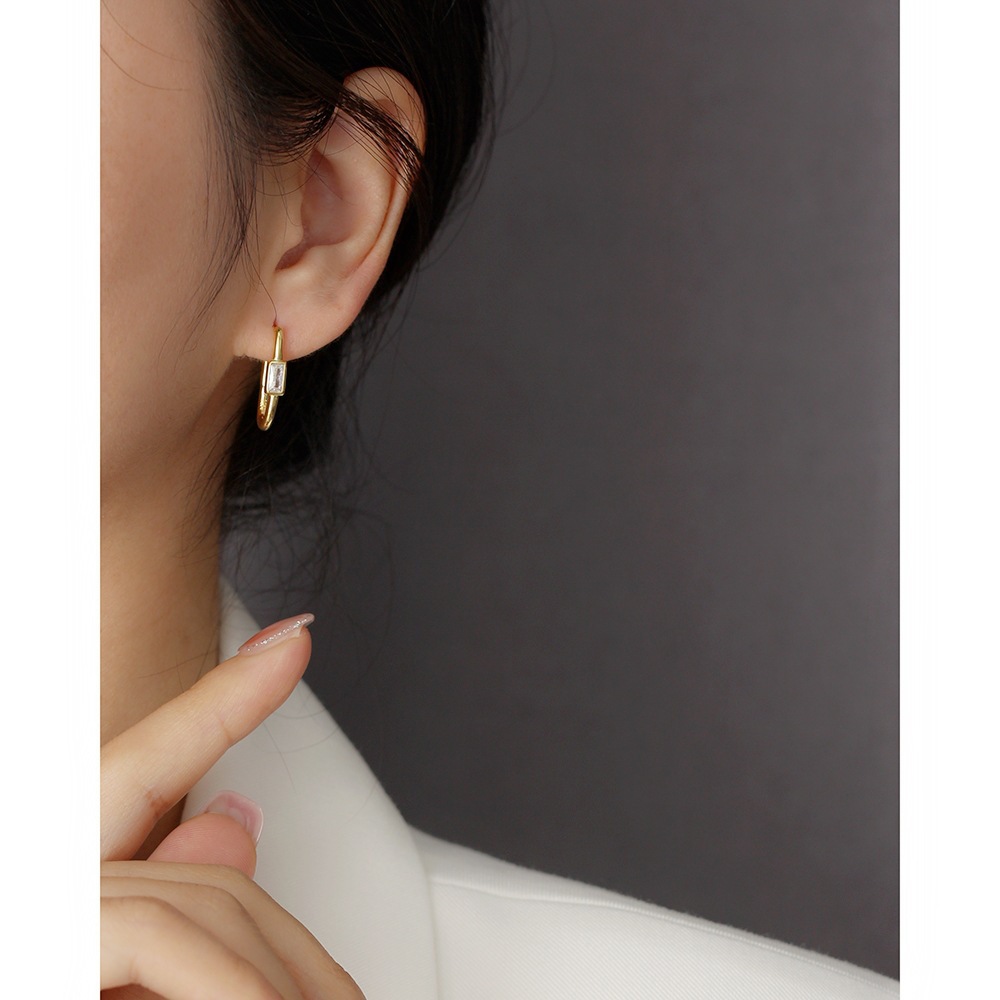 Fashion Geometric Sterling Silver Inlay Zircon Earrings 1 Pair