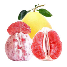 正宗广西红心蜜柚平和琯溪蜜柚皮薄多汁当季新鲜水果现摘整箱代发