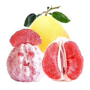 ���ڏV���t������ƽ�ͬgϪ����Ƥ����֭�������rˮ���Fժ������l