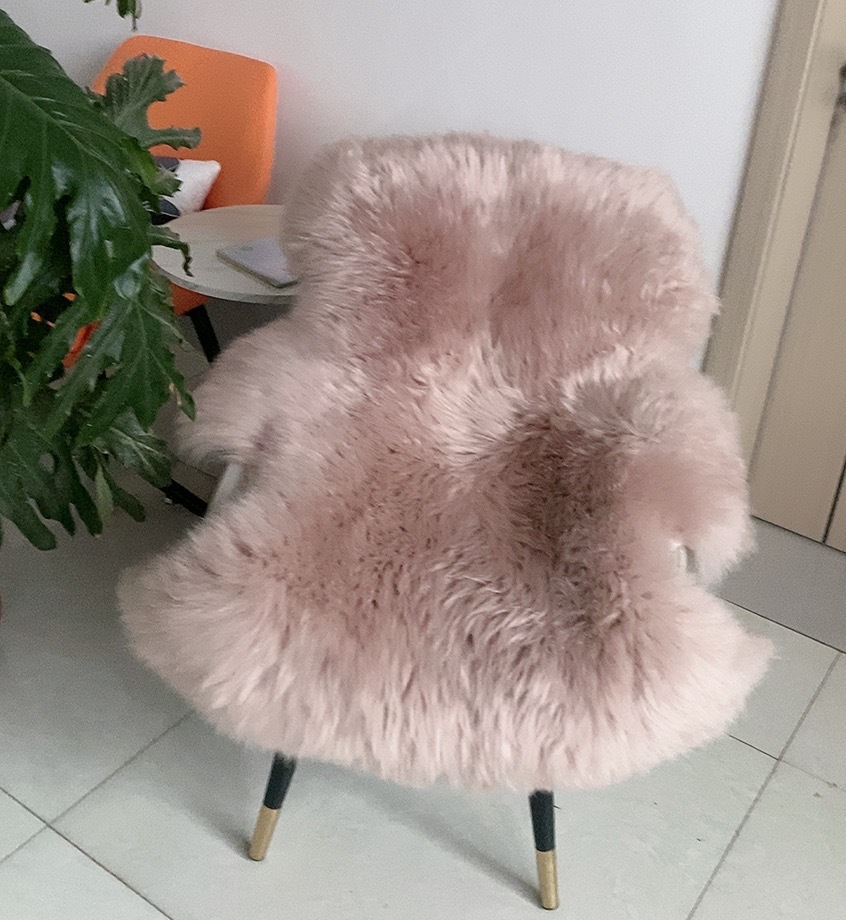 微信图片_20241030102223