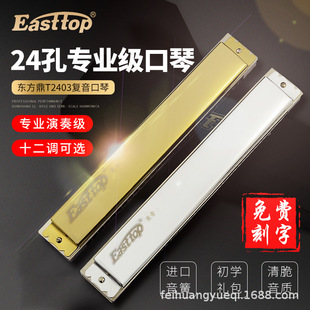 �|����28�׏�������C/A/B/D/E/F/G�{�������ٸ߼����ˌ��I����