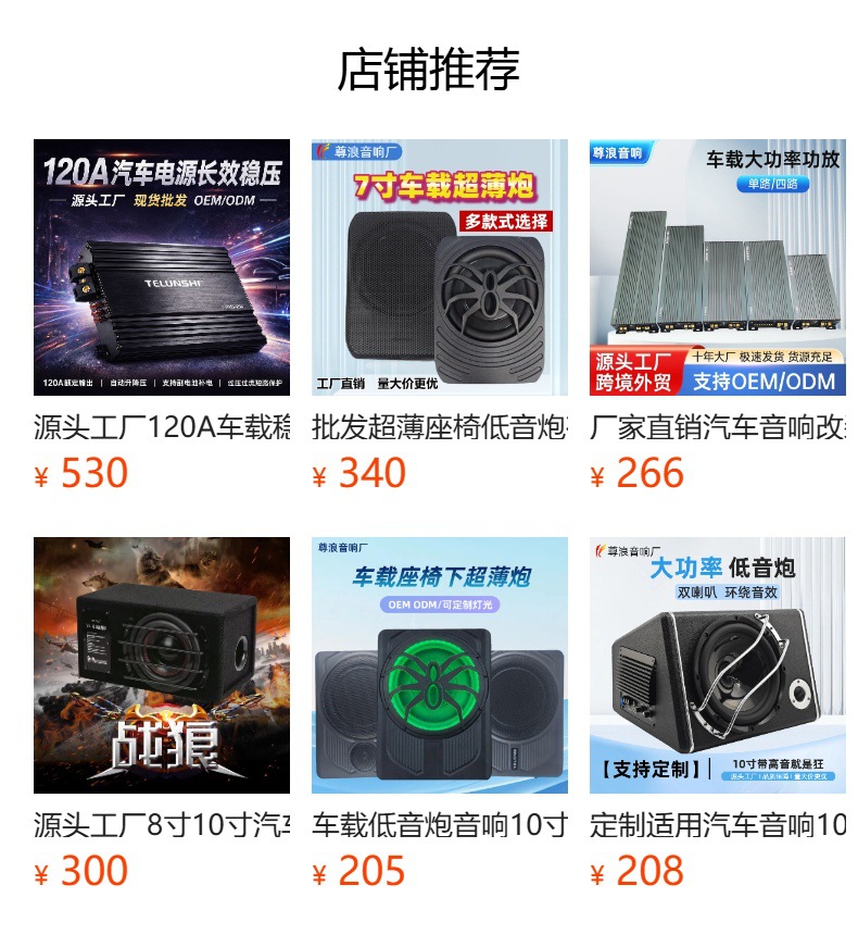 Source Factory Car Subwoofer 10inch Ultra-Thin Active Under-Seat Pure Bass Car Audio Modification Wholesale