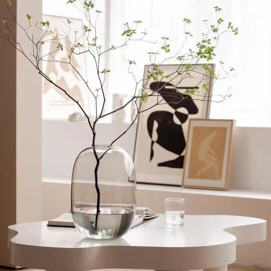 Internet Celebrous Simple High-end Happy Glass Vase Flower-arranging Water-raising Living Room Ma Zuimu Snow Willow Hydroponic Flower Vase
