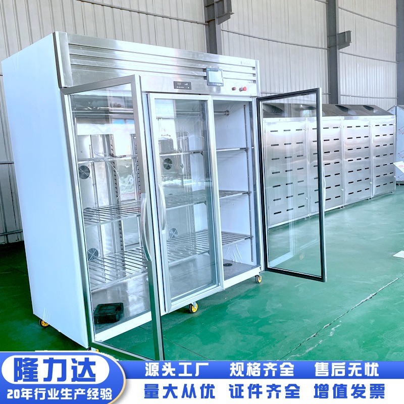 解冻器神器保鲜快速商用食物解冻机商用食品肉化冻盘牛排恒温解冻