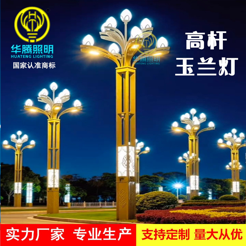 定制中华灯户外市政道路照明玉兰灯景区公园景观灯8米高杆LED路灯