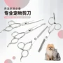清洁猫狗美容剪刀工具