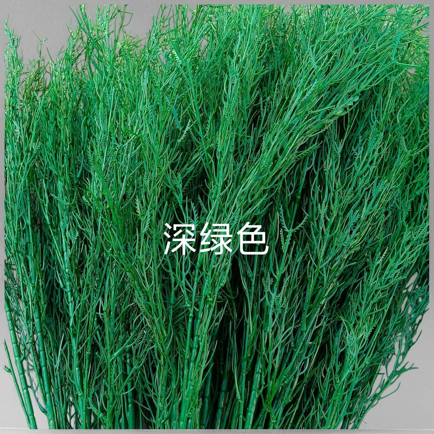 짙은 녹색