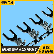 ���~Y���~���� UT��������� �Cе�O��Ӿ��䉺����