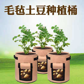 毛毡土豆植物袋毛毡种植袋无纺布育苗袋毛毡土豆种植桶厂家批发