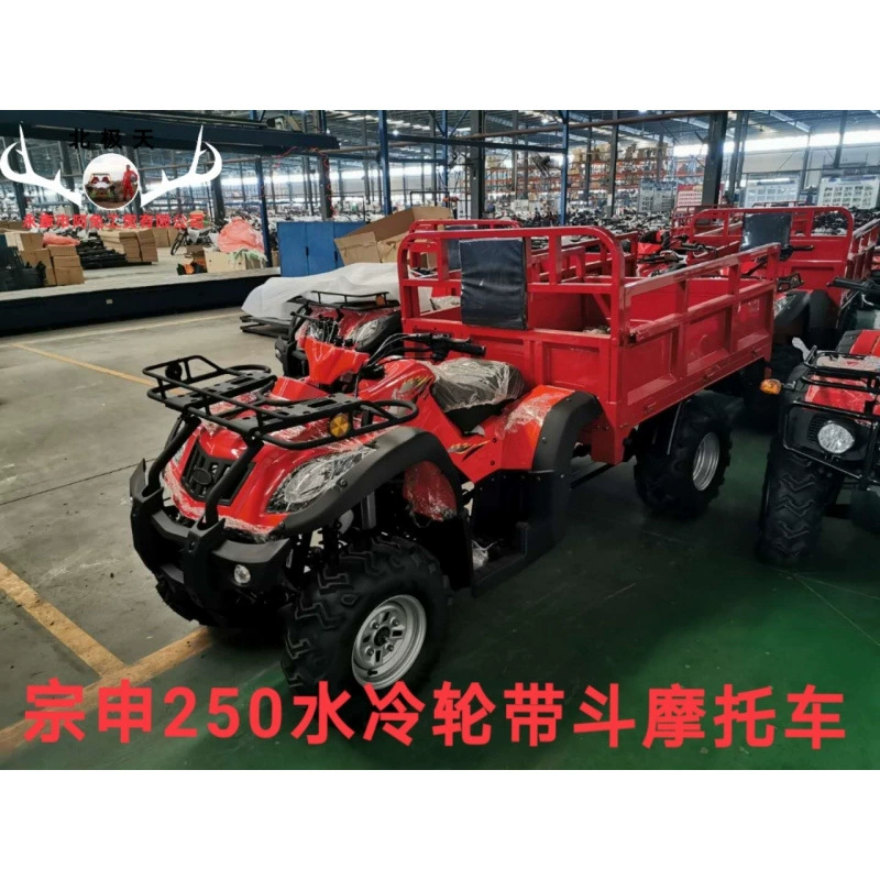 Арктическое небо четыре колеса Zongshen 250CC водяное охлаждение сельскохозяйственный ведро многофункциональный самосвал опрокидывание сельскохозяйственная техника пляжный автомобиль