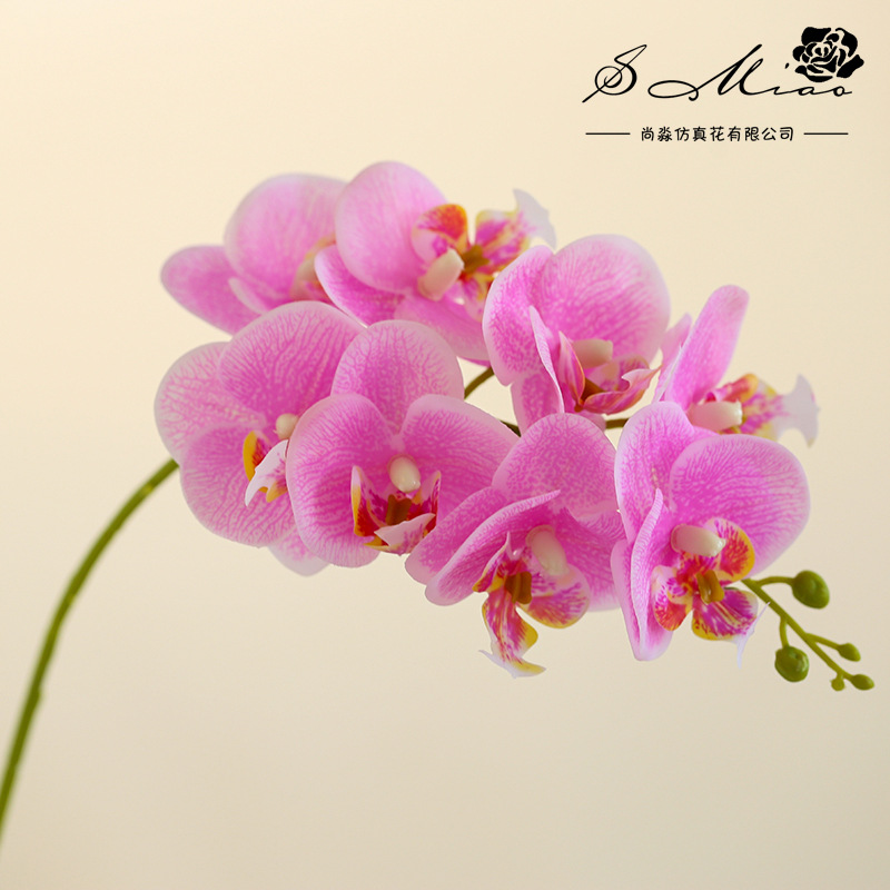 8 flores 3 hojas se sienten Phalaenopsis bonsai flor artificial de gama alta sala de estar decoración floral artificial en maceta flor artificial image 8