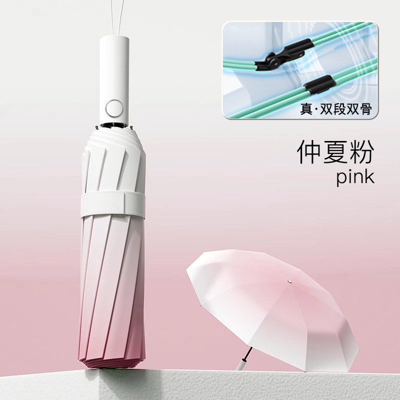 전자동 [8본2+2] 백도분말