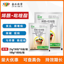 ��˹�� �P�� ����R��������S���������߲�˪ù���rș������25��