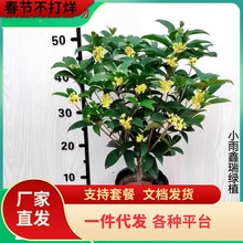 һ�����l�ļ��𻨘����ͺ������̨�𵤹�����ͥԺ�Ϙ������ͻ���