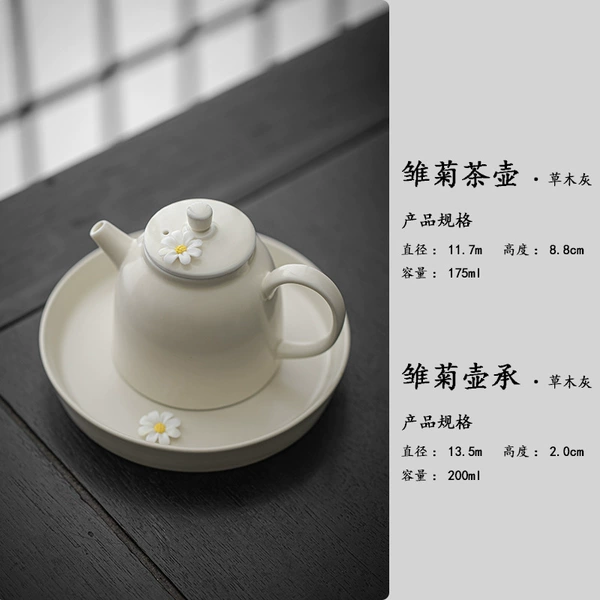 Plant Ash - Daisy Round Belly Pot + Pot Holder