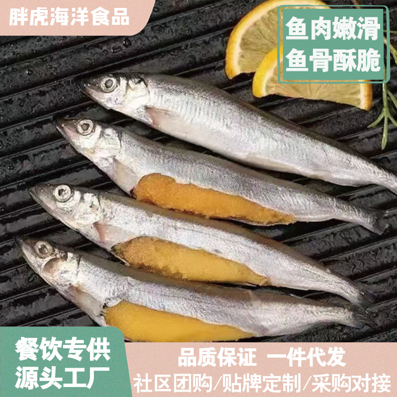 满籽多春鱼新鲜速冻胡瓜鱼鲜活特大冷冻毛鳞鱼商用烧烤整箱批发