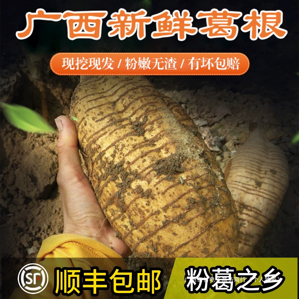 Свежий корень кудзу из Гуанси, мирный порошок кудзу, без остатков, свежеобнаруженный дикий корень кудзу из Гуандуна, подходит для супа и облегчения похмелья, 2.5kg г., бесплатная доставка.