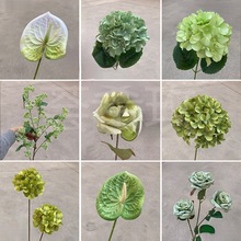 �Gɫ��c�~�ķ��滨�ȼ���õ��ٻ���Y�bGֲ����·����ˇ�廨