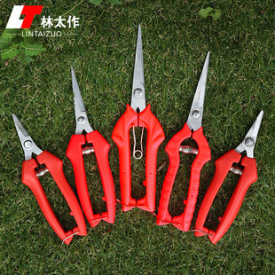 Lin Taizuo Fruit Picking Shear Stainless Steel Thin Fruit Shear Grape Pepper Picking Shear Gardening Pruning Bud Tea Picking Tool Scissors