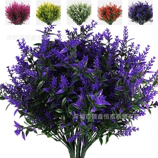 7��޹�²����ϻ����滨��ֲ��Gֲ���Ի��ܹ�β�ݻ�������ɻ�