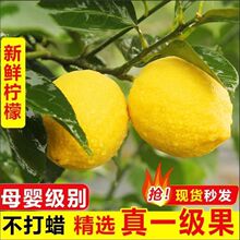 ԭ�a��ֱ�l�����S�������rˮ���Fժ�o�ѱ�Ƥ�Ĵ������̲���S����