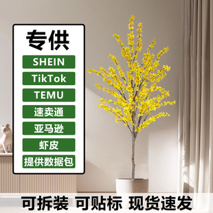 �羳��ů��@�L����ӭ������٘� �͏d���޵����b���������Sɫ