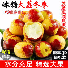 正宗陕西大荔冬枣新鲜大枣特大脆甜冬枣新鲜水果顺丰5斤整箱包邮