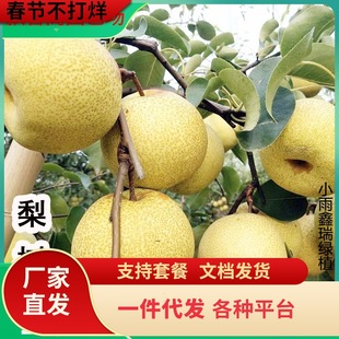 һ�����l������޽���������Sˮ���Ә��m���Ԯ���Y�������