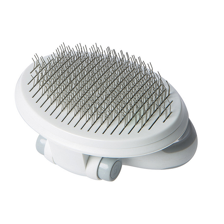 DELEӴ۵ֱЯèͨԽ˿