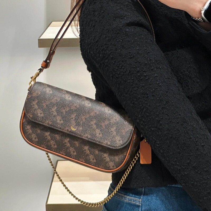 Coach C Brand 2026 New Model Brookchain Chain Baguette Bag Underarm Bag Single Shoulder Crossbody Bag Handbag for Women