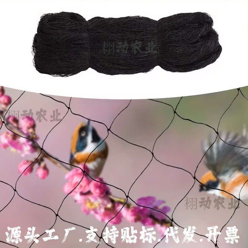 黑色涤伦主图一