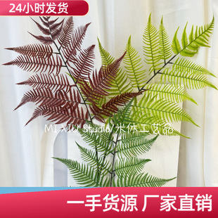 �����z��ާ��֧��ľ�����Ļ��Ƶ�Ҿ��bzӰ���ߔ[���Gֲ�羳
