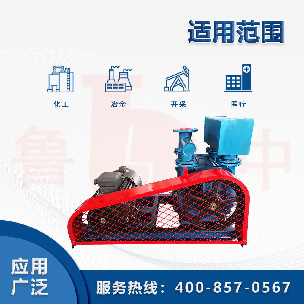 2BE-203系列水环式真空泵电动真空泵抽真空负压设备联轴器水环泵