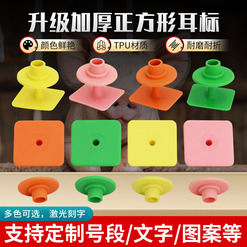 Seal cuadrado anti-manipulación etiqueta de oído de cerdo etiqueta de oído animal etiqueta de oído de cerdo, ganado y oveja etiqueta de oído TPU anti-caída