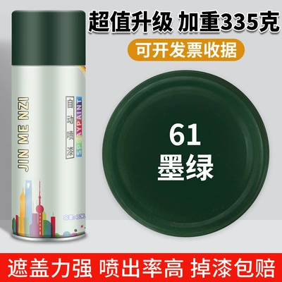 Paint Special Paint Spray Can – Avtomobil boya qələmləri - dark-greenextra-volume-quick-dryinganti-rust-and-anti-corrosionstrong-adhesion