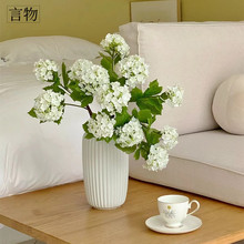 花瓶摆件客厅插花陶瓷复古纯白法式高级感鲜花干花玫瑰玄关水培大