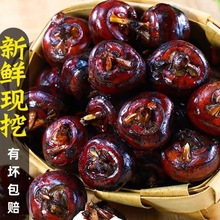 �������ֱ�������ˬ���R��ݩ�j���ږ|�ρ��Ј��̳����l�߲�ʳ��